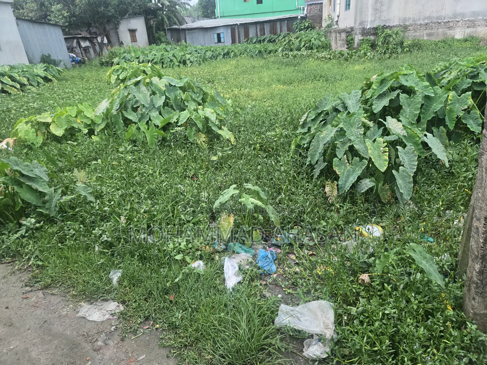 Land for Sale