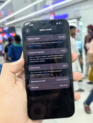 Apple iPhone 15 Pro Max 256 GB Black