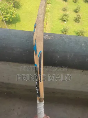 Hs Blast 1200 Cricket Bat