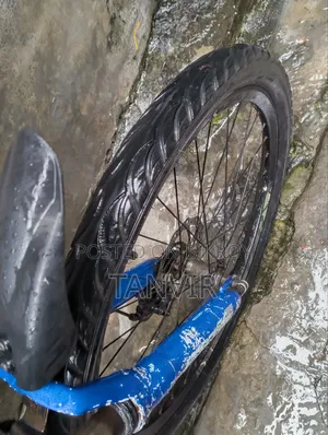Foxter Cycle