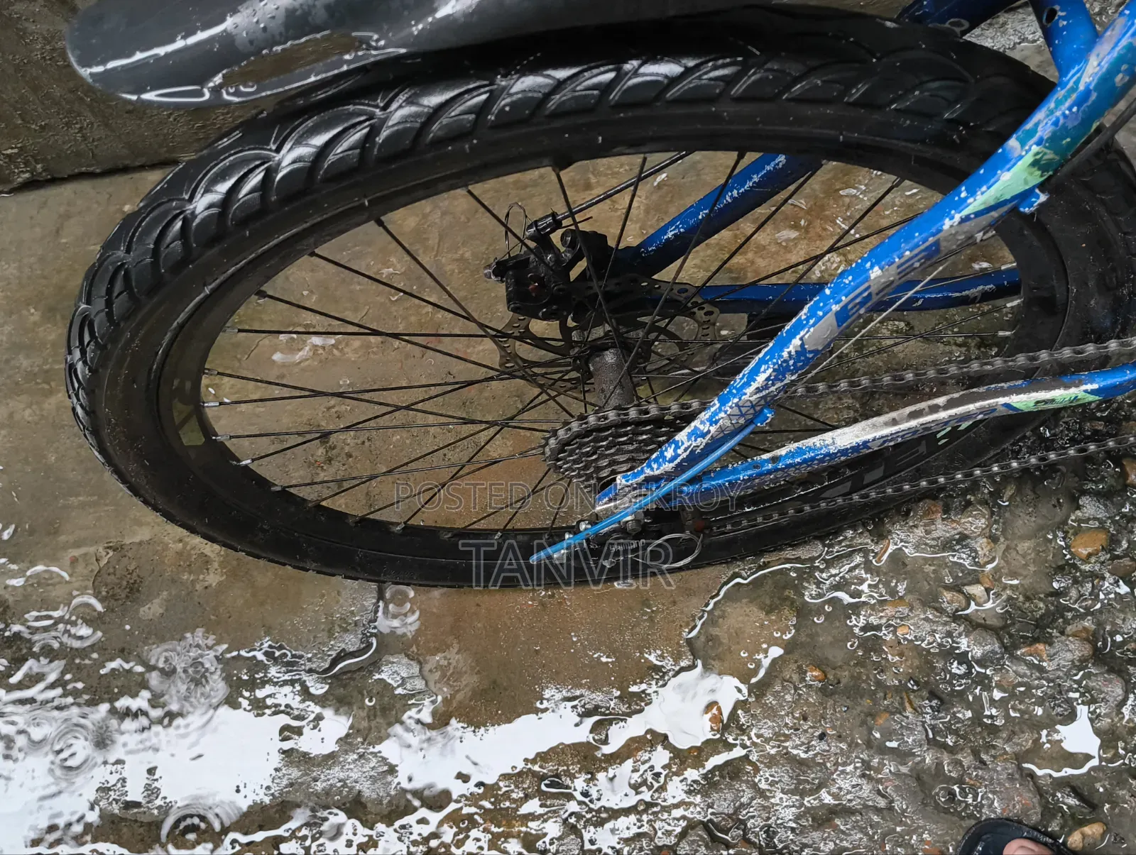Foxter Cycle