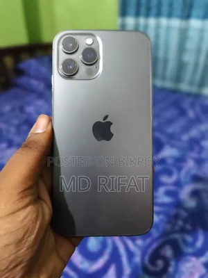 Apple iPhone 12 Pro Max 256 GB Gray