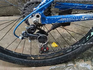 Foxter Cycle