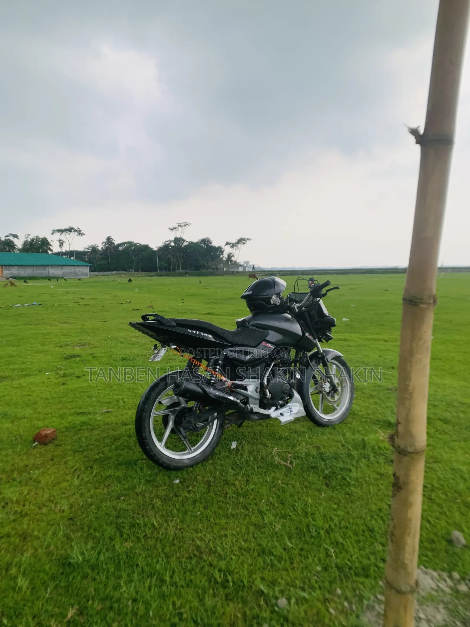 Bajaj Pulsar 150 2007 Black