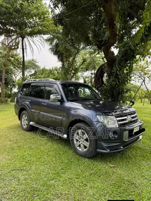 Mitsubishi Pajero 2007 Gray