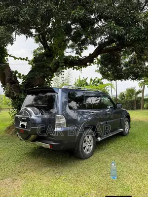 Mitsubishi Pajero 2007 Gray