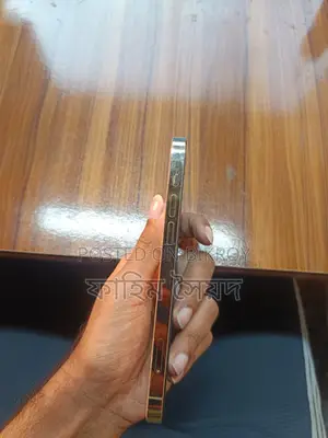 অ্যাপল আইফোন ১২ প্রো ১২৮ জিবি গোল্ড
