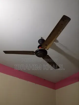 পাখা সেল হবে