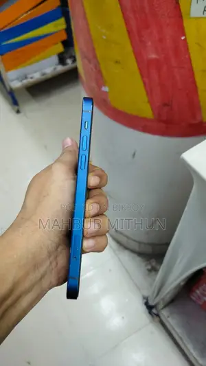 অ্যাপল আইফোন ১২ ১২৮ জিবি ব্লু