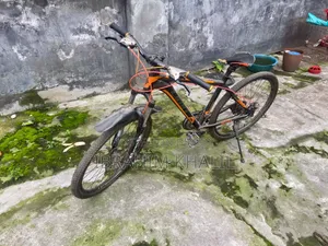 বাইসাইকেল লিমিট
