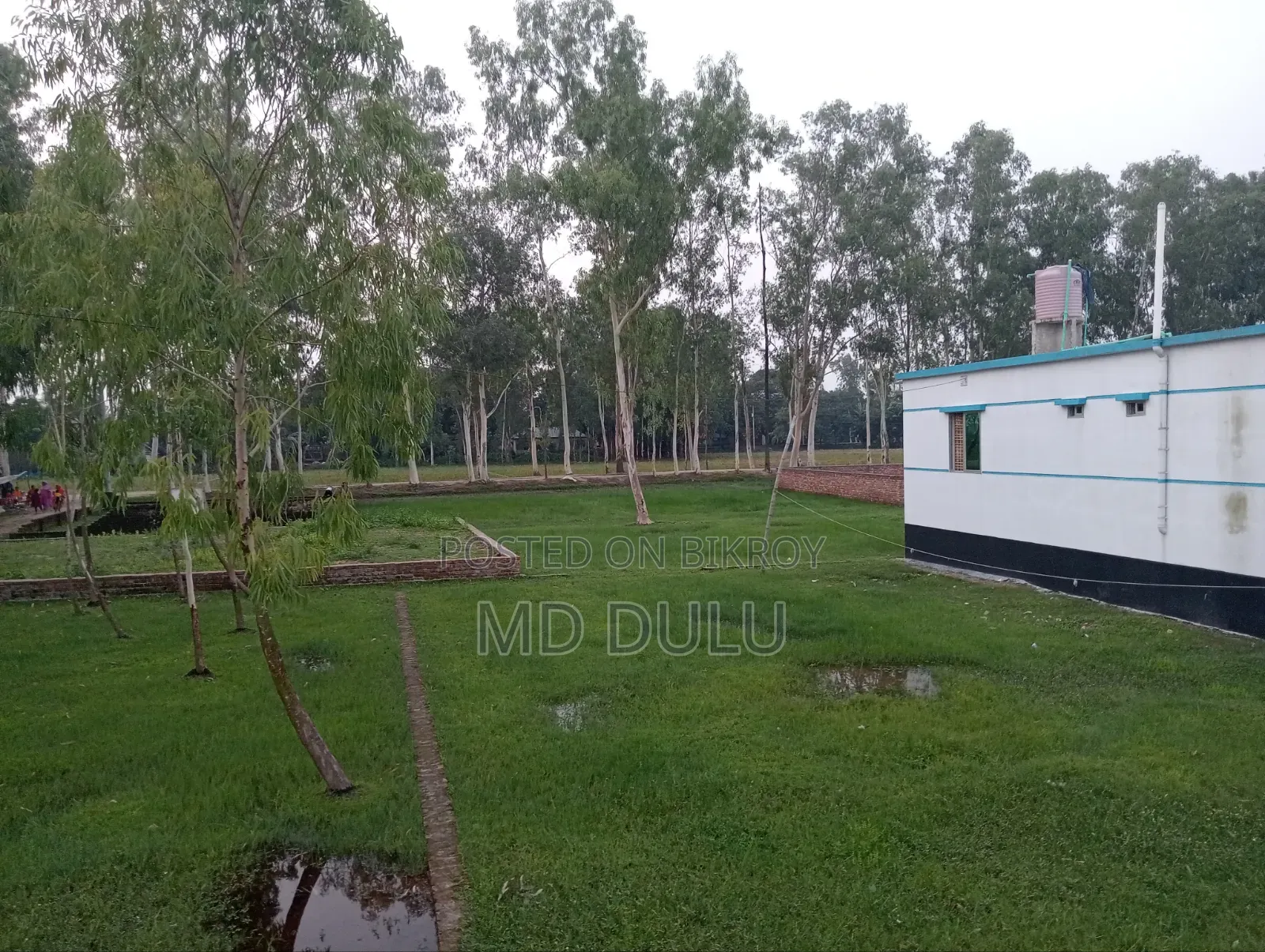 Land Sale