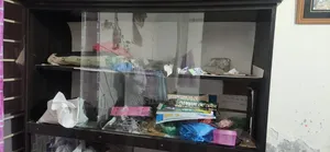 Showcase for Sale