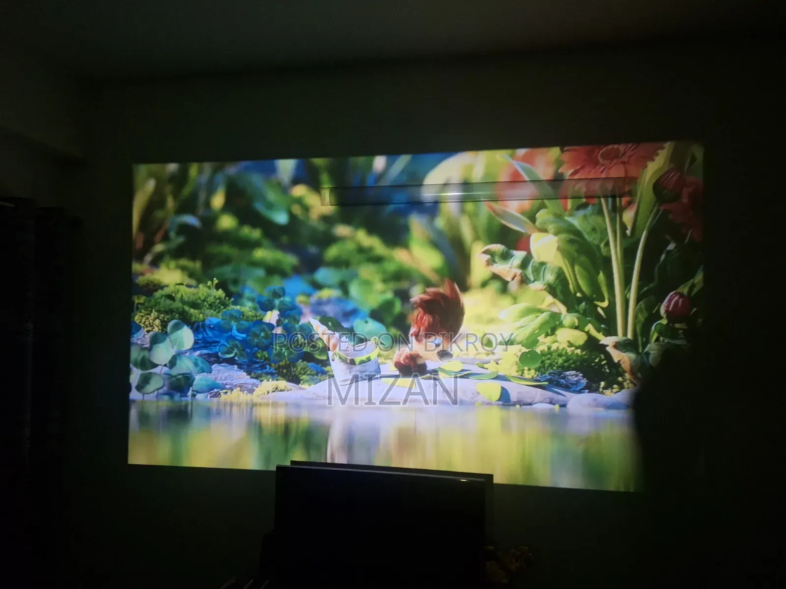 Projector With Tv Input