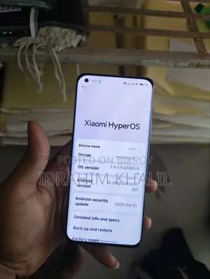 Xiaomi Mi 11 256 GB Gray