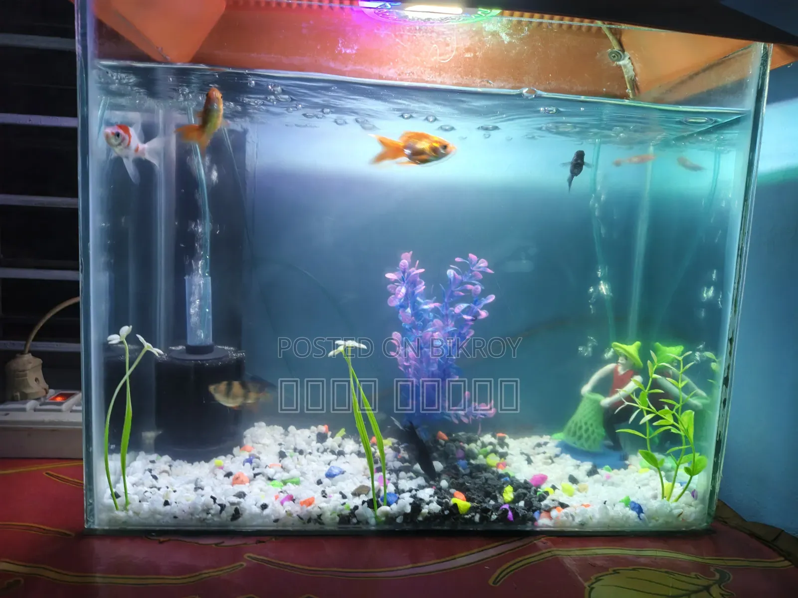Aquarium full setup