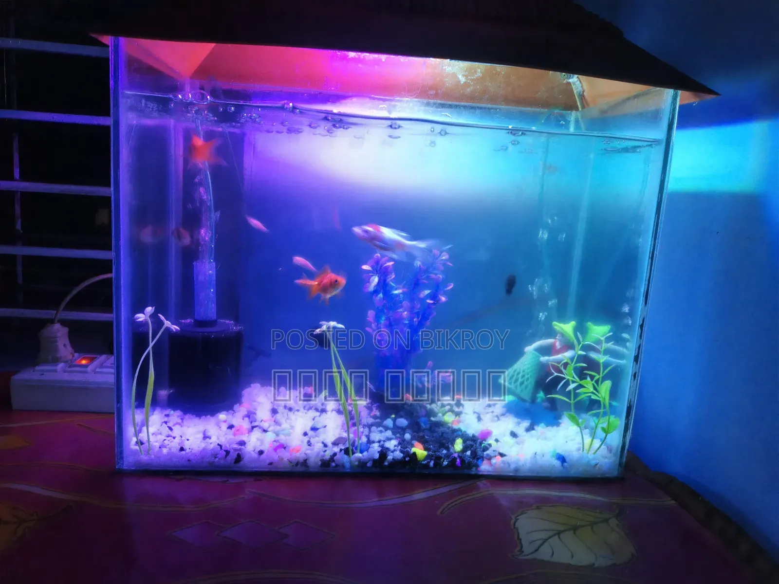 Aquarium full setup