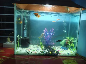 Aquarium full setup