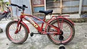 Hero Brand 20-inch Bicycle for Kids