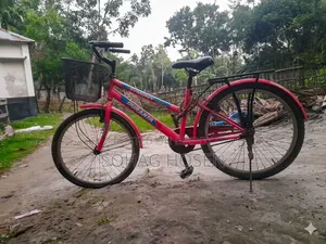 Duronto Ladies Cycle