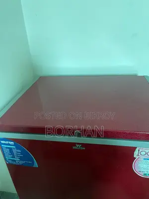 Walton Deep Freezer