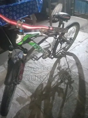 Phonix Gear Cycle
