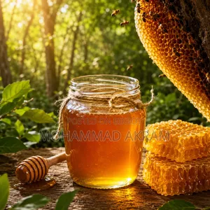 Pure Sundarbans Jungle Honey