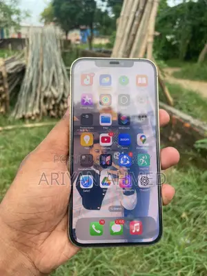 Apple iPhone 12 Pro Max 256 GB Rose Gold