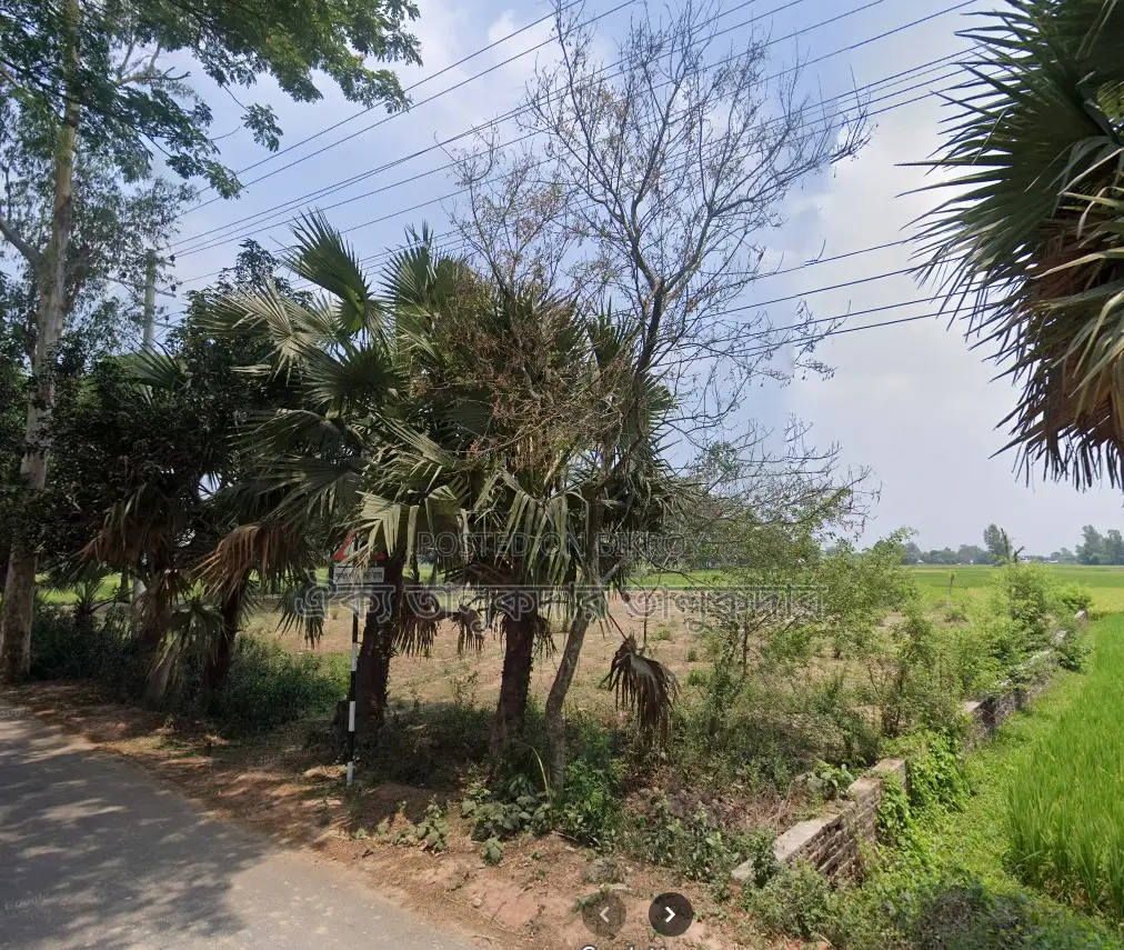 55 decimal high filled land suitable for mills and factories for sale in Adamdighi