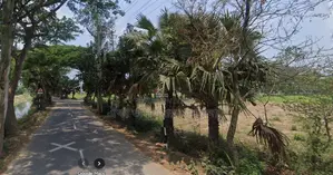 55 decimal high filled land suitable for mills and factories for sale in Adamdighi