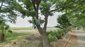 55 decimal high filled land suitable for mills and factories for sale in Adamdighi