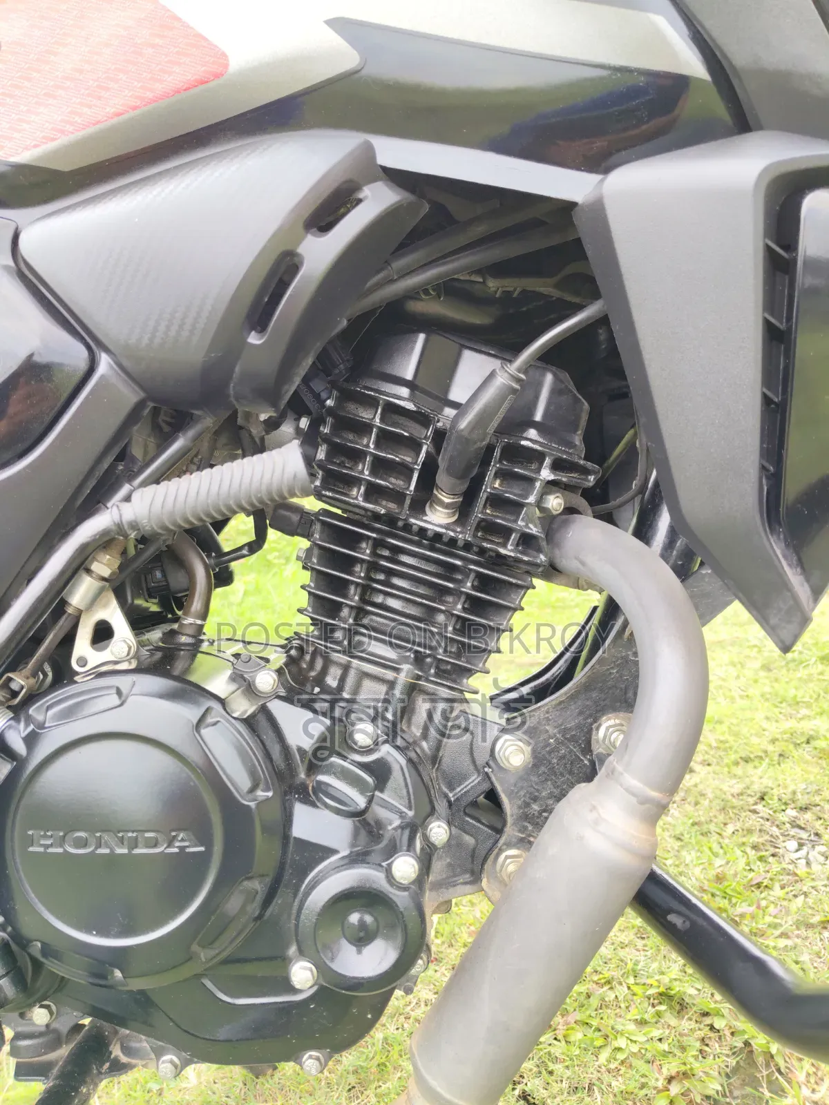 Honda 2024 Black