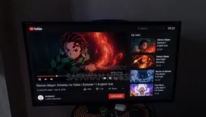 Singer LED TV
