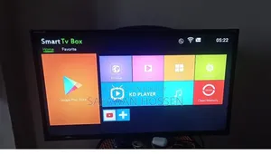 Singer LED TV