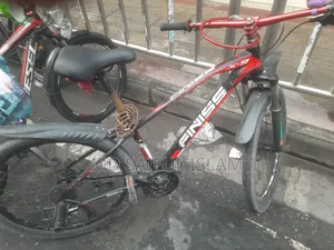 Stunt Cycle