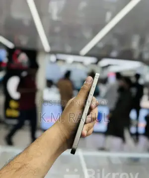 Apple iPhone 15 Pro Max 256 GB Silver