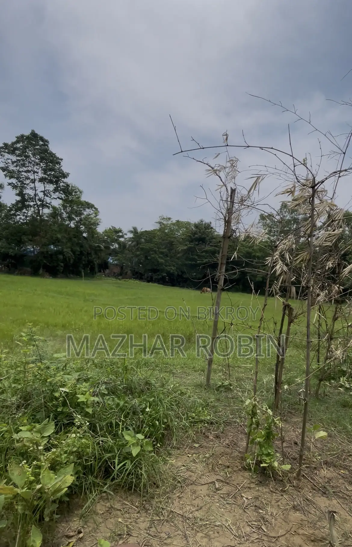 Land for sale in Feni Mohammad Ali Bazar