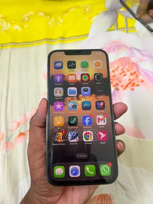 Apple iPhone 12 Pro Max 256 GB Gray