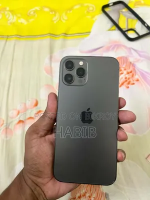 Apple iPhone 12 Pro Max 256 GB Gray