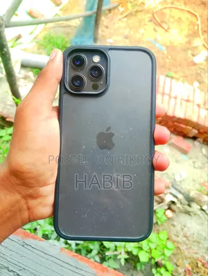Apple iPhone 12 Pro Max 256 GB Gray