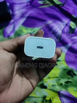 Apple Charger Original