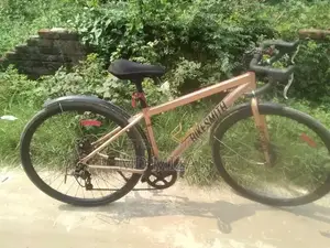 Cycle for Sell
