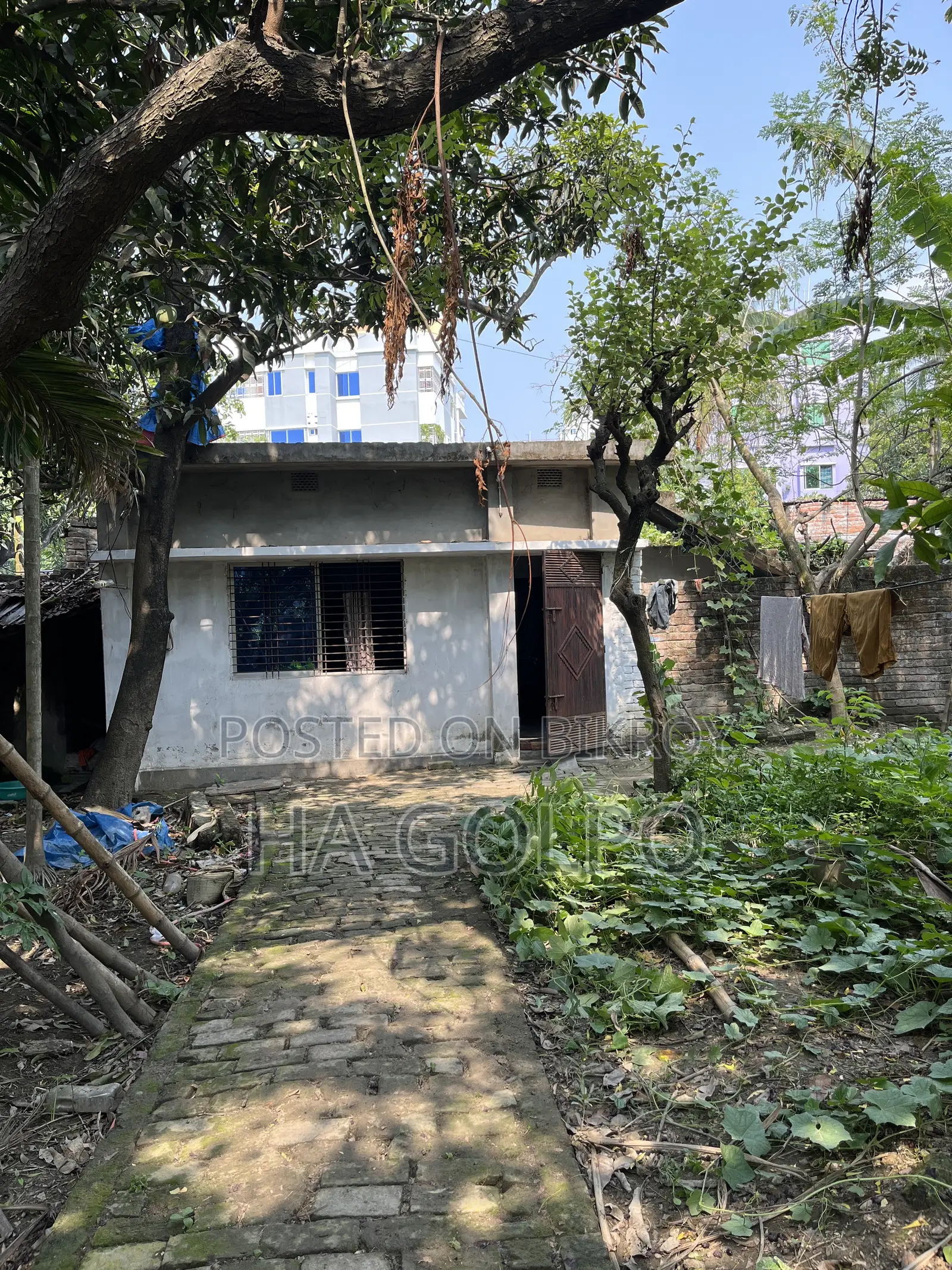 Property Land
