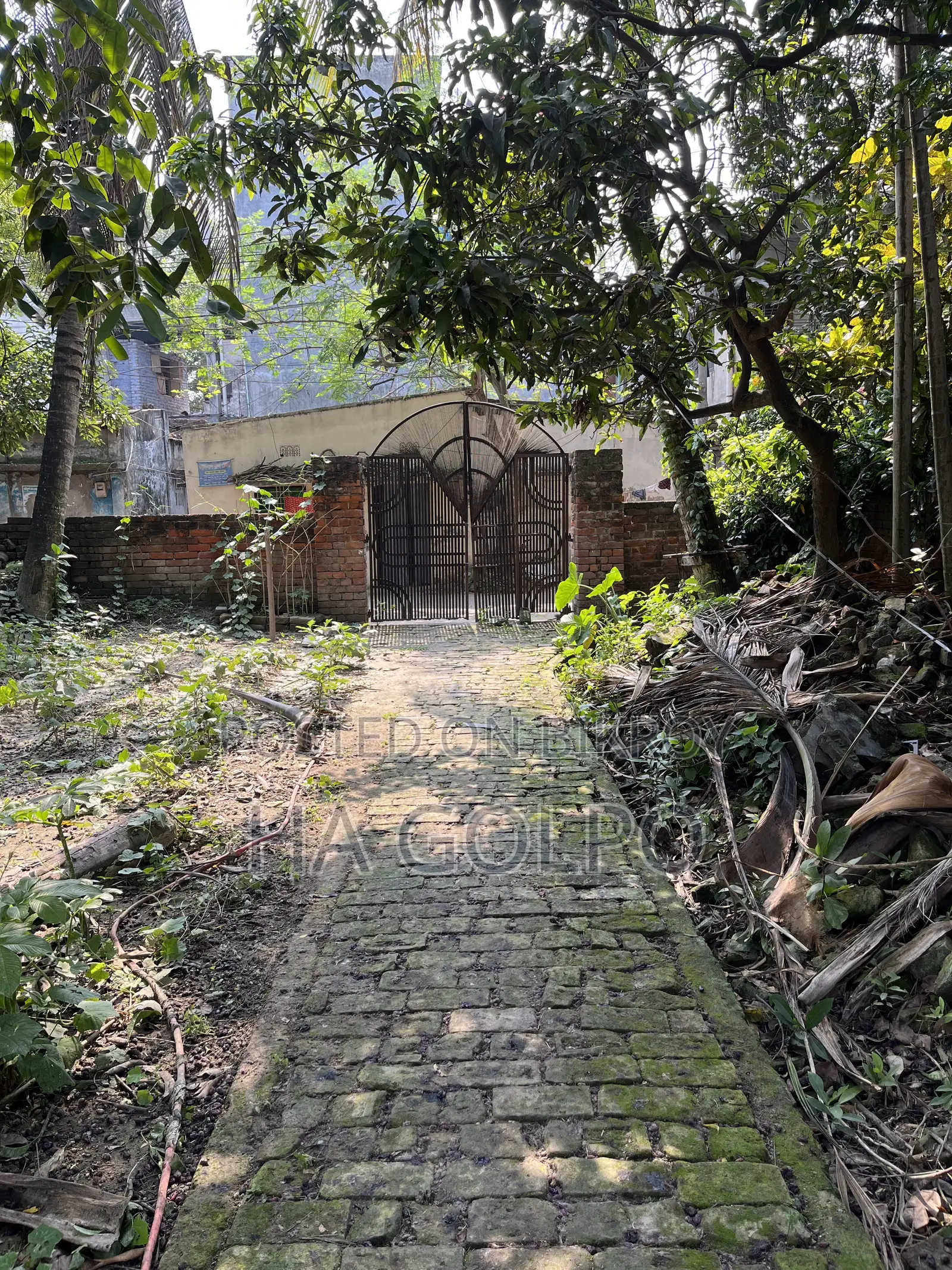 Property Land