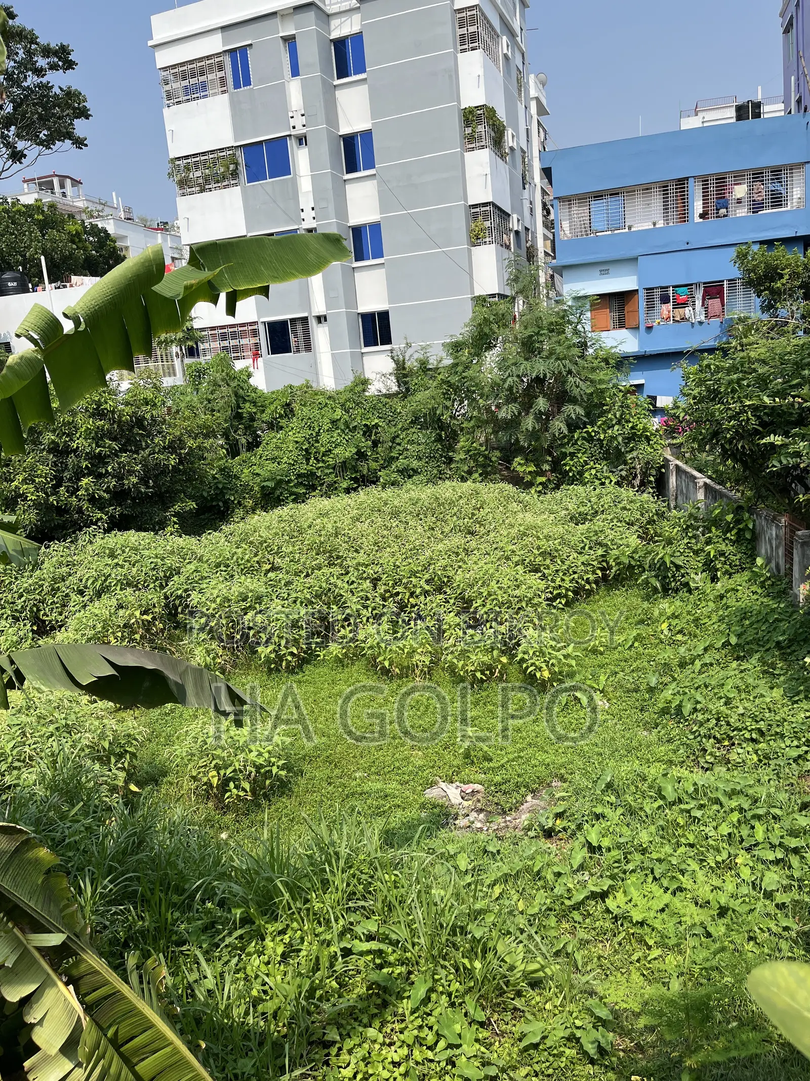 Property Land