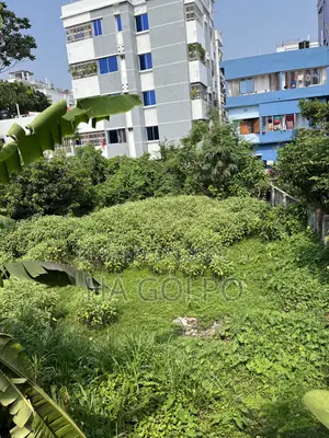 Property Land