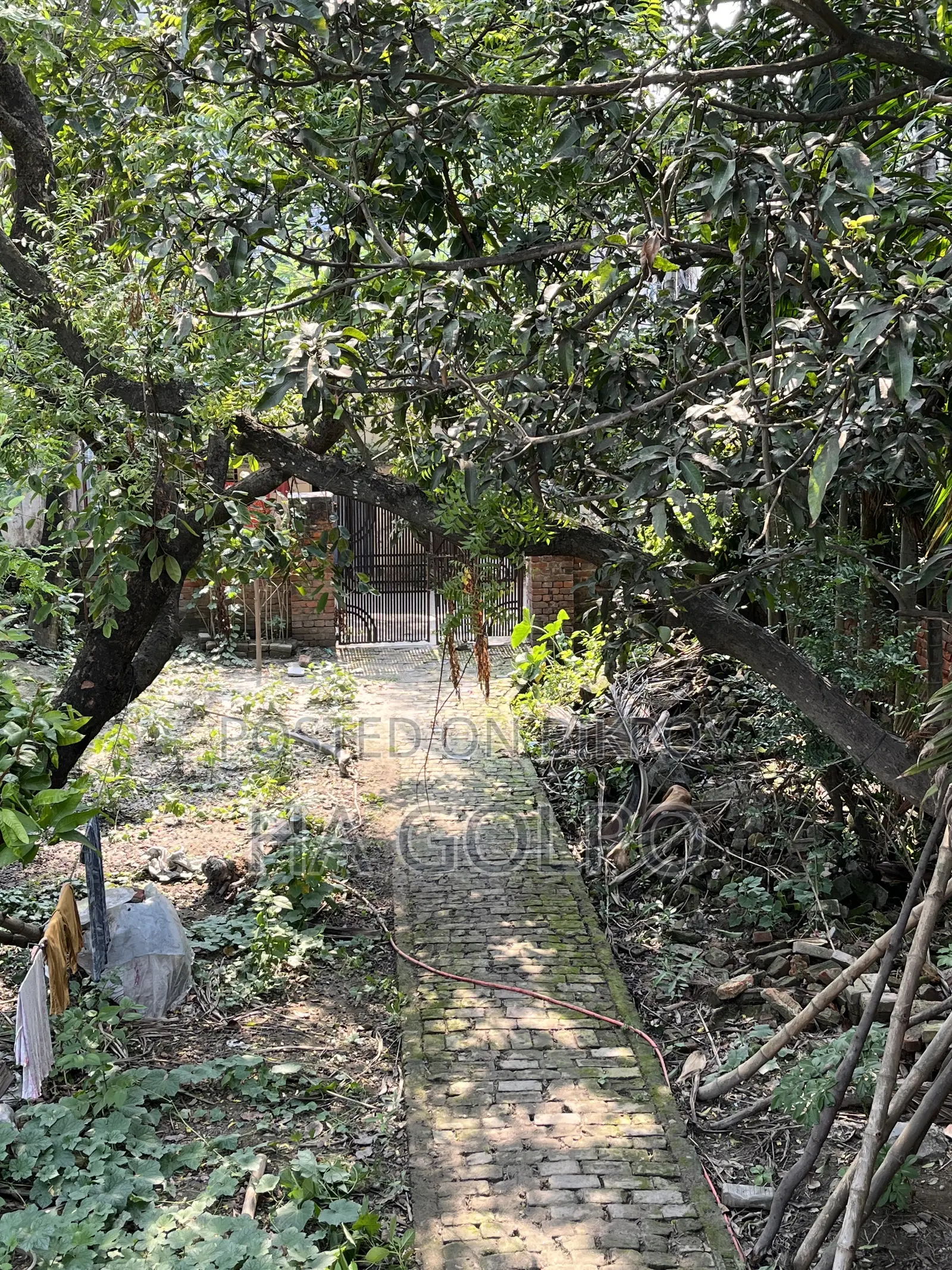 Property Land