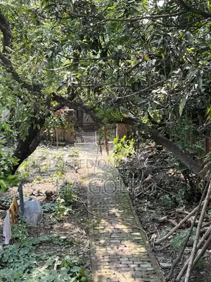 Property Land