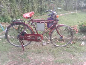 Electric Bicycle