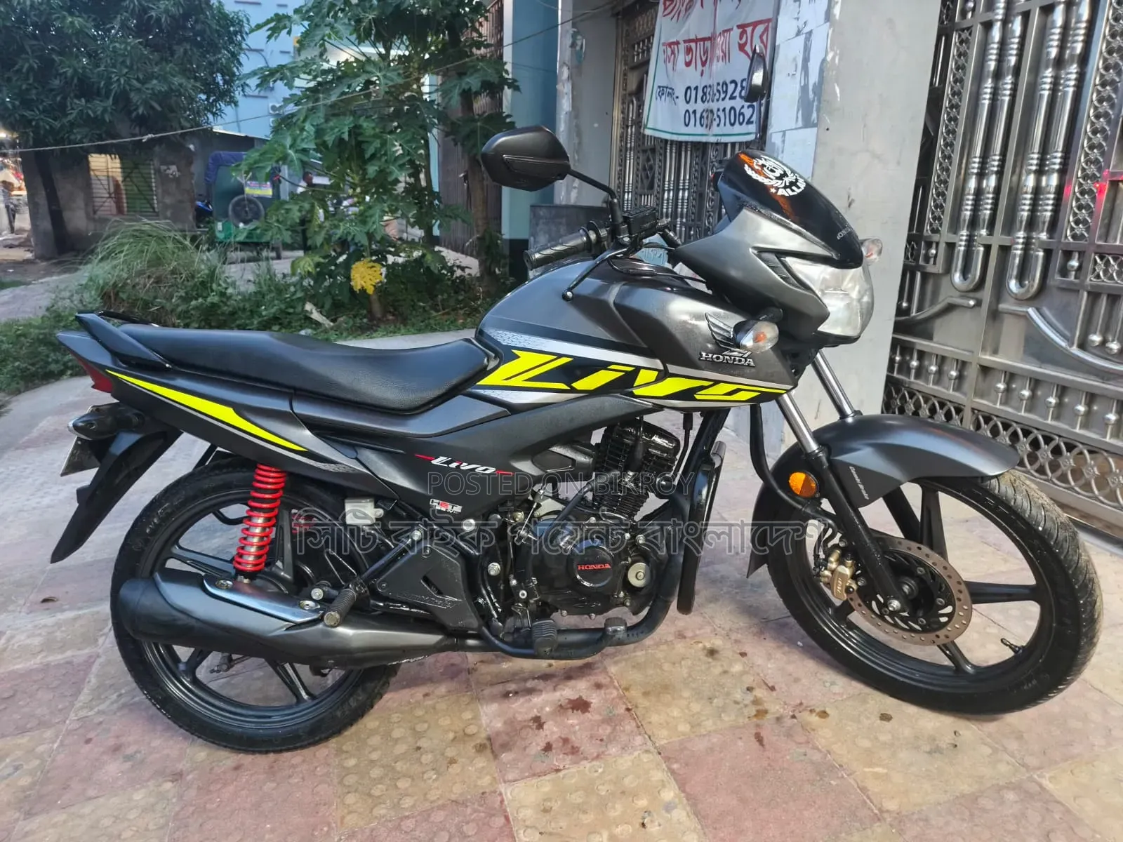 New Honda 2022 Gray