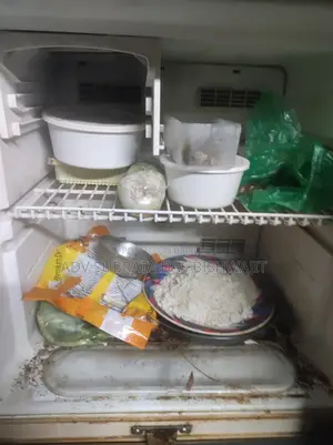 ইলেকট্রনিক্স / পুরনো ফ্রিজ